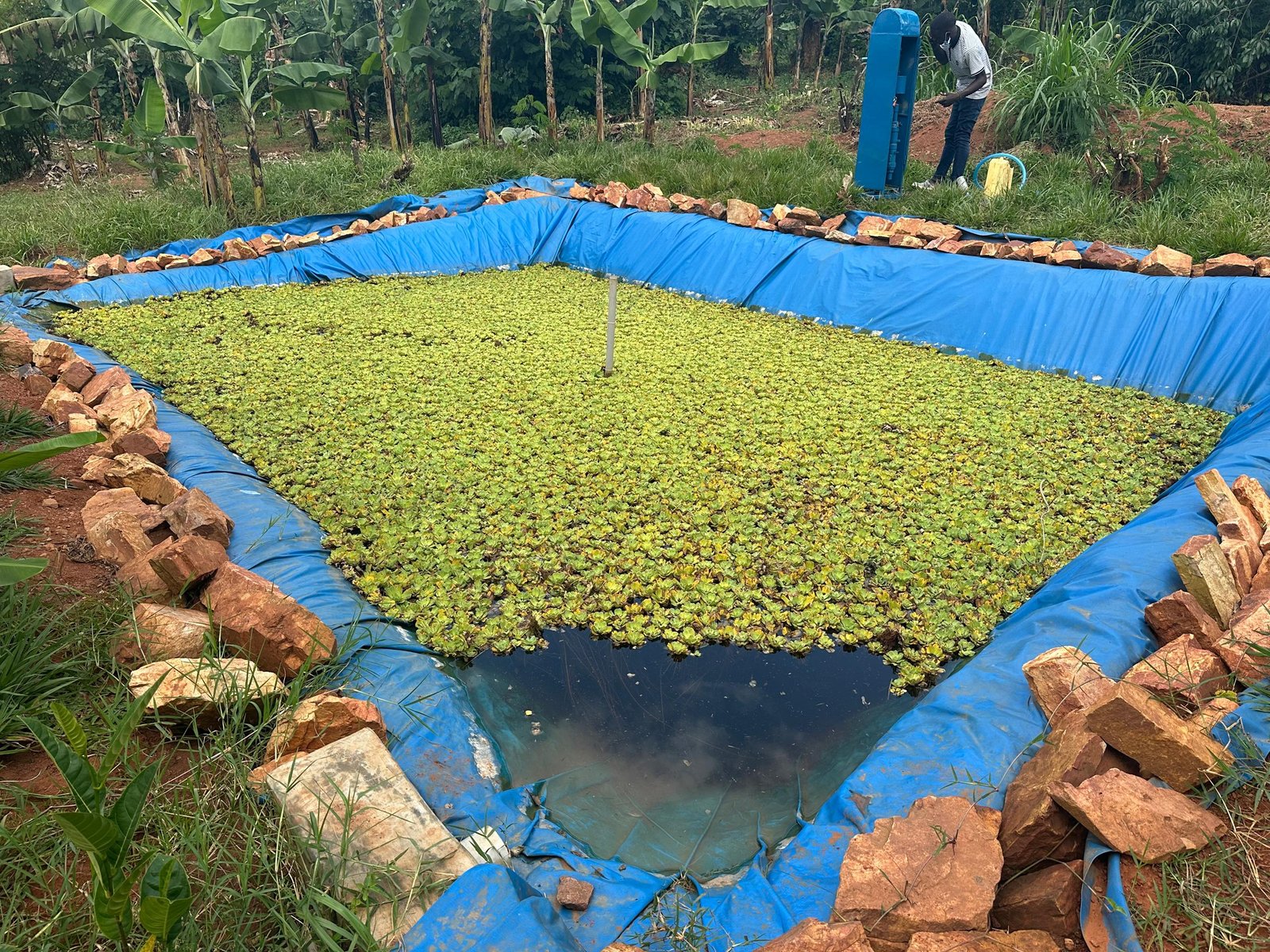 Water Supply and Management