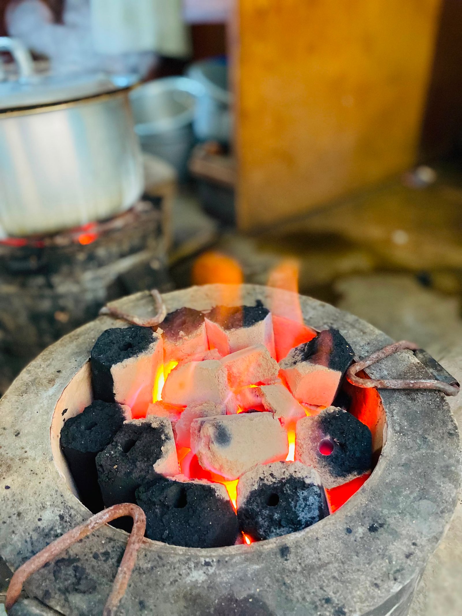 Eco Briquettes