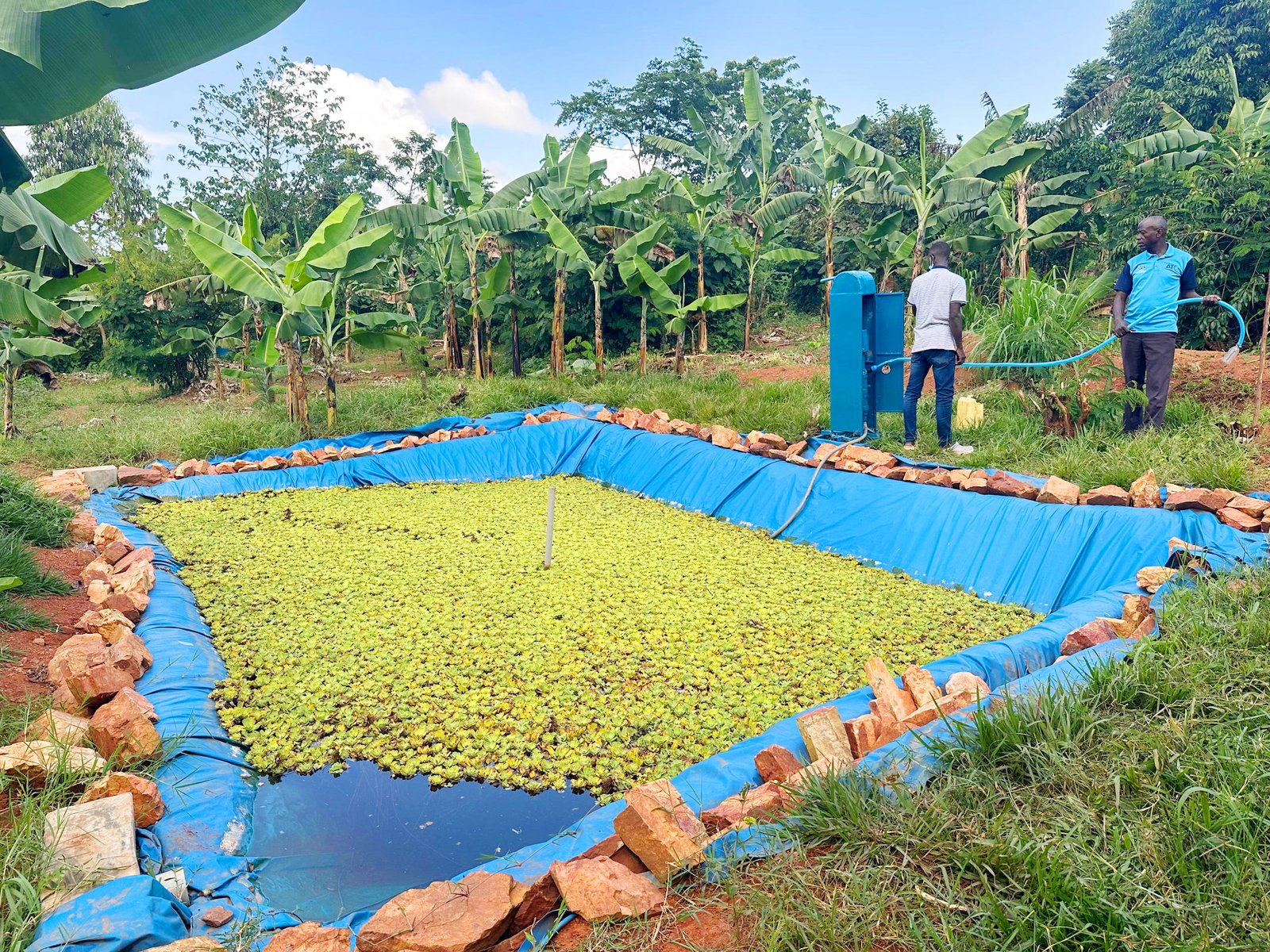 Storm Water Pond